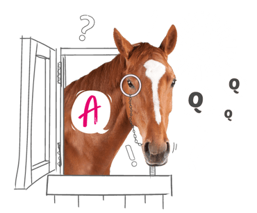 Horse looking through a stable door