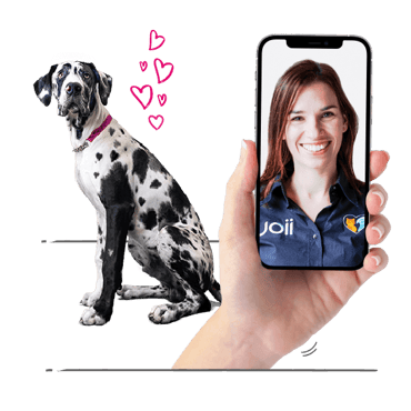 Photo illustration of a dog and a screen shot of a cat