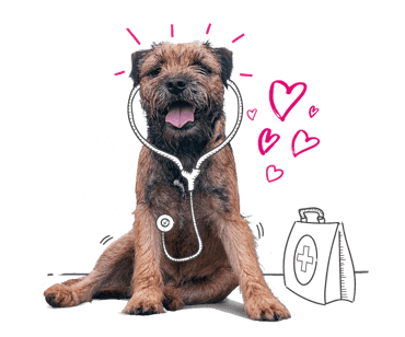 Photo illustration of a dog with love hearts.