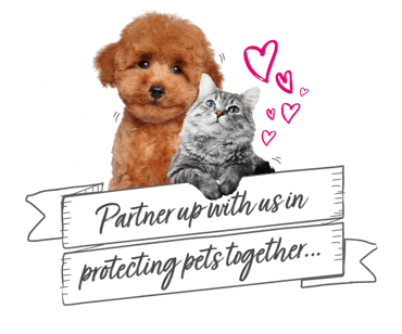 A cat and dog hold a banner staying "Partner up with us in protecting pets together"