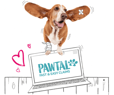 Pawtal fast and easy claims