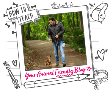 A man and his dog walking on a wooded path