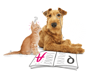 Dog and cat looking at a book.
