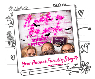 A walk in the park podcast season 2 episode 3