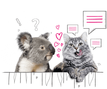 Cat and Koala looking over an illustrated fence
