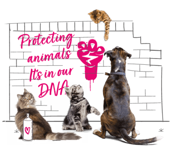 Illustration of animals campaigning