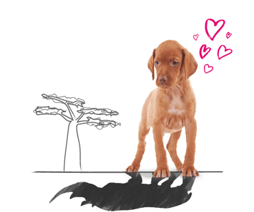 Illustration of a dog with a rhino's shadow