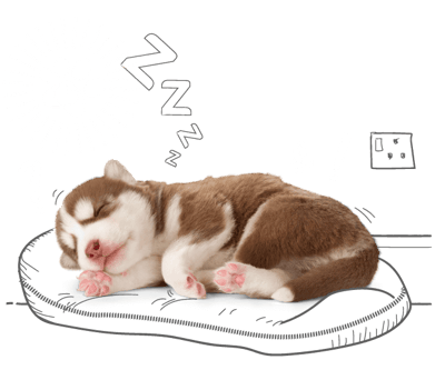 Puppy insurance helps towards unexpected vets bills, helping keep puppies safe