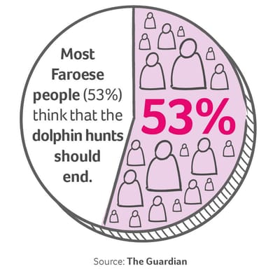 a pie chart illustration saying "Most Faroese people (53%) think that the dolphin hunts should end"
