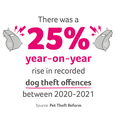 An illustration of two whistles with the words "there was a 25% rise in recorded dog theft offences between 2020-2021"