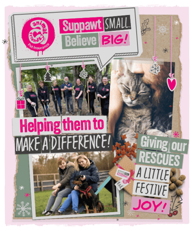 Animal Friends collage of charity activity