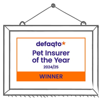 Illustration of Defaqto award showing Animal Friends was Pet Insurer of the Year 2024/25 Winner