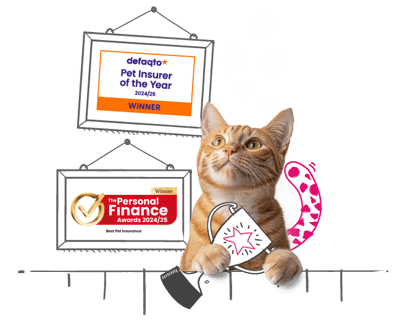 Cat holding a trophy peeking over a fence