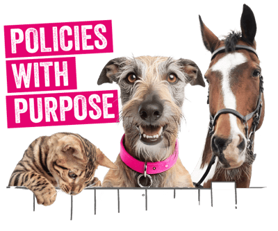 A cat, dog and horse peek over a fence with a banner saying "policies with purpose" behind them.