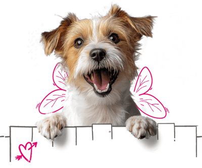 A dog perching over an illustrated fence