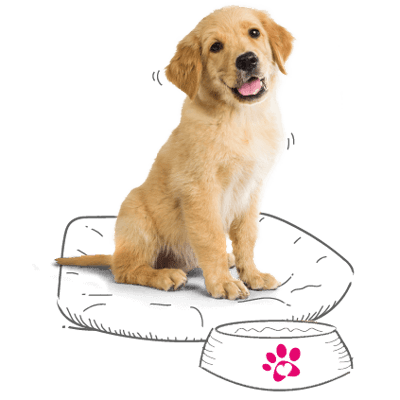 Photo illustration of a puppy in their bed