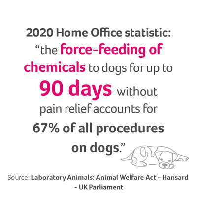 image reading "the force-feeding of chemicals to dogs without pain relief accounts for 67% of all procedures"
