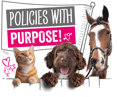 Policies with purpose