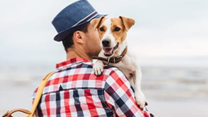 Dog being held by a man