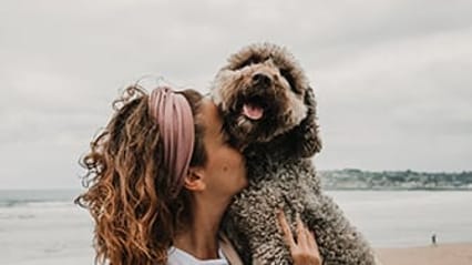 Dog being held and cuddled by a lady