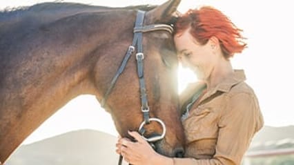 Horse being cared for by owner