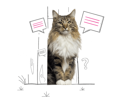 Cat poking through a fence