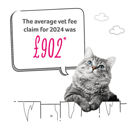 The average vet fee claim for 2024 was £902*