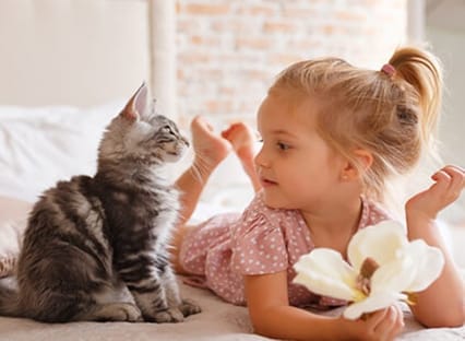 Kitten and a young girl