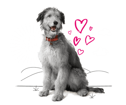 Illustration of a dog and love hearts