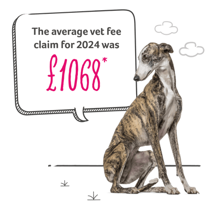The average vet fee claim for 2024 was £1,068*