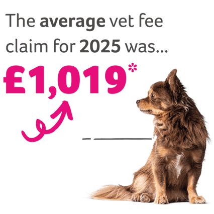 Our average vet fee claim was for £1019 in 2025