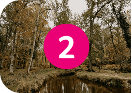 Bolderwood Radnor Trail - 2
