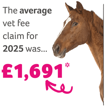 Our average vet fee claim was for £1691 in 2025 for horses