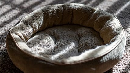Photograph of an empty, grey pet bed