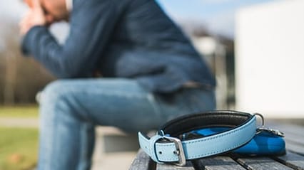 Image of blue dog collar on bench in foreground, with a crying person sat on bench in background