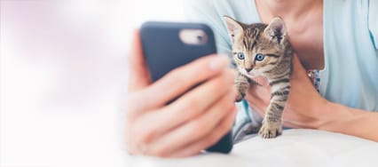 Photo of someone using the Joii app