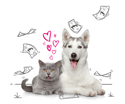 Photo illustration of a dog and a cat and some love hearts