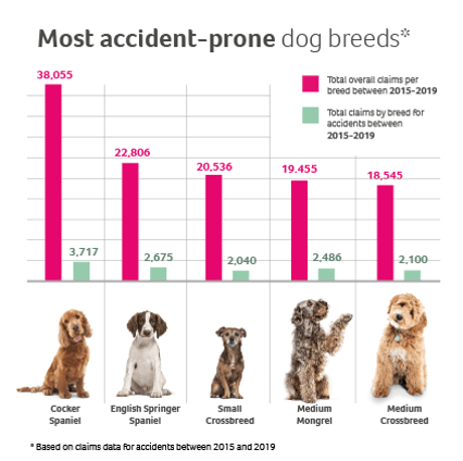 Graph showing most accident prone breeds