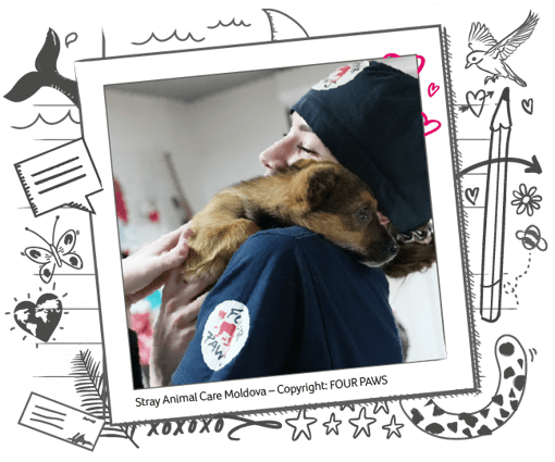 a photo of a volunteer with a dog looking over their shoulder
