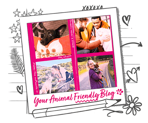 a collage of pets with their owners