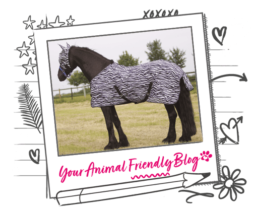 An image of a horse in a rug surrounded by a illustrated frame