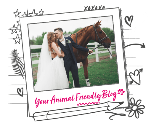 a bride and groom posing in front of their horse framed in a decorative banner