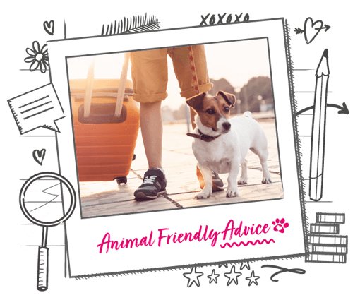 Photo illustration of a dog and a suitcase