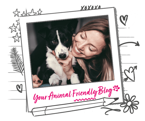 Black and white dog with a smiling person next to it, in an illustrated frame that reads your animal friendly blog. 