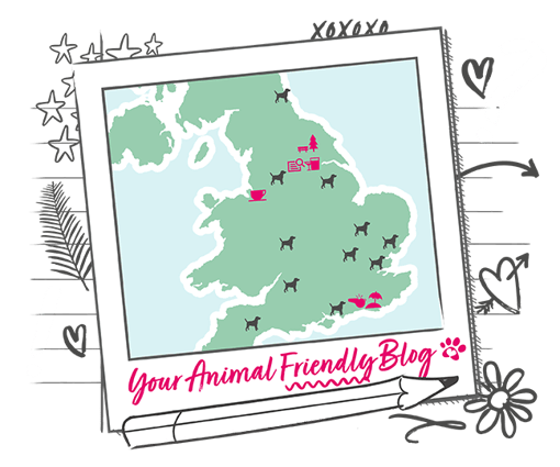 Final scores for the top 15 dog-friendly UK cities, calculated from our 2023 research