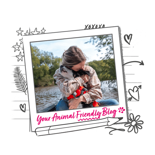 A dog and their owner on a kayak, sharing a hug 