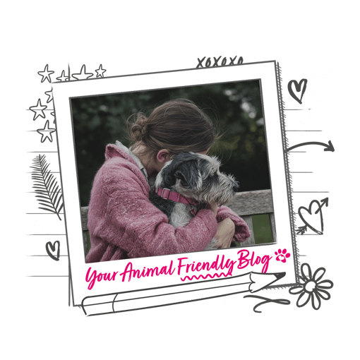 a dog being embraced by their owner while the frame reads "your animal friendly blog"