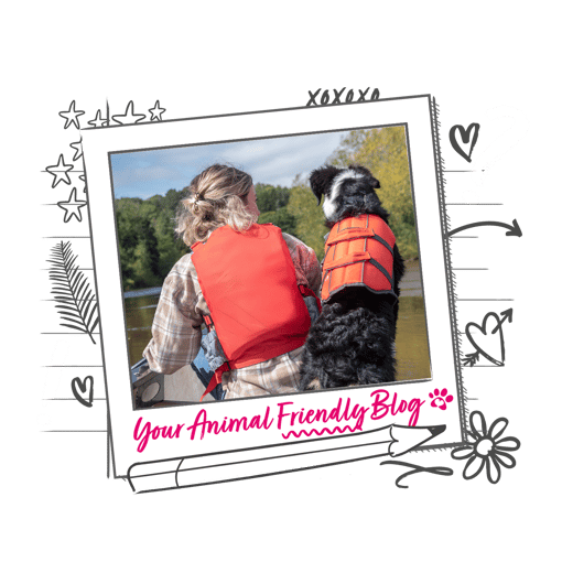 a dog and its owner looking out towards the water off a kayak and the frame reads "your animal friendly blog"
