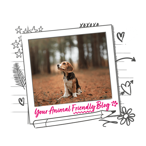 a puppy in the woods and the border reads "your animal friendly blog" 