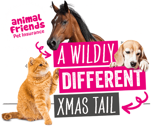 Illustration of the Animal Friends logo next to 'wildly different xmas tail' title text, surrounded by photos of a bay horse, a beagle, and a ginger cat